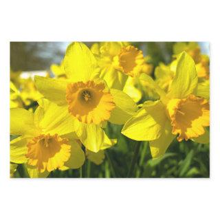 Yellow Daffodil Flowers   Sheets