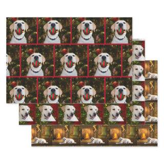 Yellow Lab Christmas  Sheets