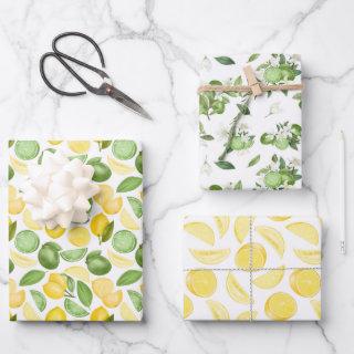 Yellow Lemons and Limes On the Vine    Sheets