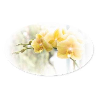 Yellow Moth Orchid in Sunshine Oval Sticker