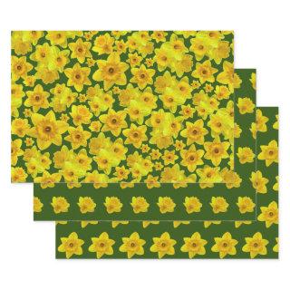 Yellow Spring Daffodil - Wedding  Sheets