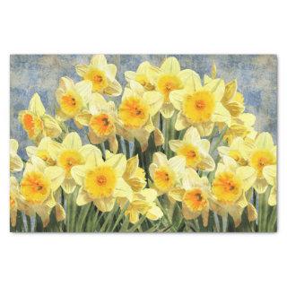 Yellow Spring Daffodils Rustic Tissue Paper