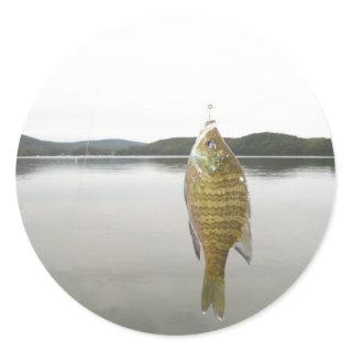 Yellow sunfish at Lake Arrowhead Classic Round Sticker