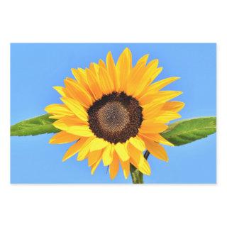 Yellow Sunflower Against Sun on Blue Sky - Summer   Sheets