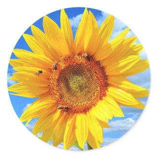 Yellow Sunflower and Bees on Blue Sky - Summer Day Classic Round Sticker