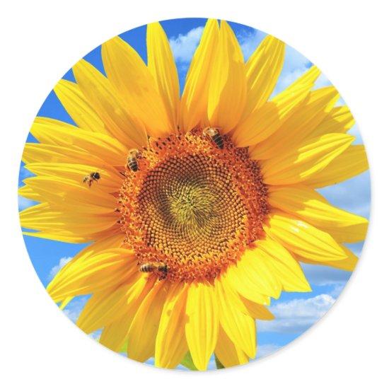 Yellow Sunflower and Bees on Blue Sky - Summer Day Classic Round Sticker