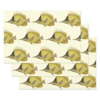 Yellow Tropical Chelmon Longirostris, Vintage Fish  Sheets