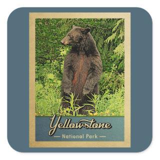 Yellowstone National Park Vintage Bear Square Sticker