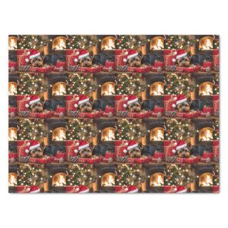 Yokie Pup Christmas  Tissue Paper