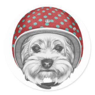 Yorkshire Terrier Daredevil Classic Round Sticker