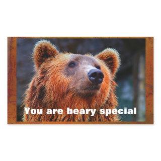 You Are Beary Special Brown Bear wildlife Portrait Rectangular Sticker