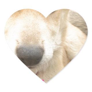 You Should WIFI Your Love Everyday Heart Sticker