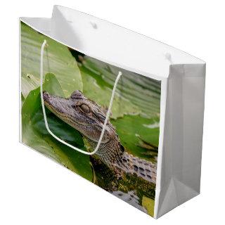 Young Alligator Large Gift Bag