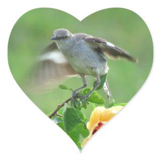Young Mockingbird bird Stickers