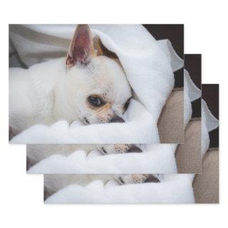 Your pet dog puppy custom photo chihuahua  sheets