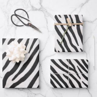 Zebra Fur Realistic Striped Wild Animal Print  Sheets