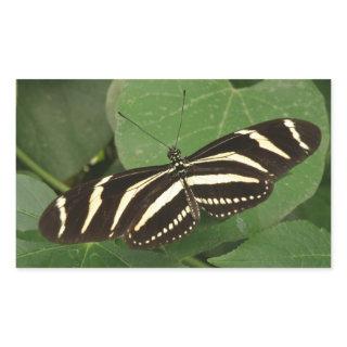 Zebra Longwing Butterfly Stickers
