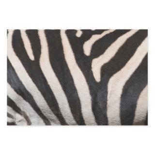 ZEBRA SKIN  SHEETS