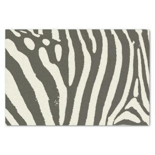 Zebra Stripe Animal Print Pattern Tissue Paper